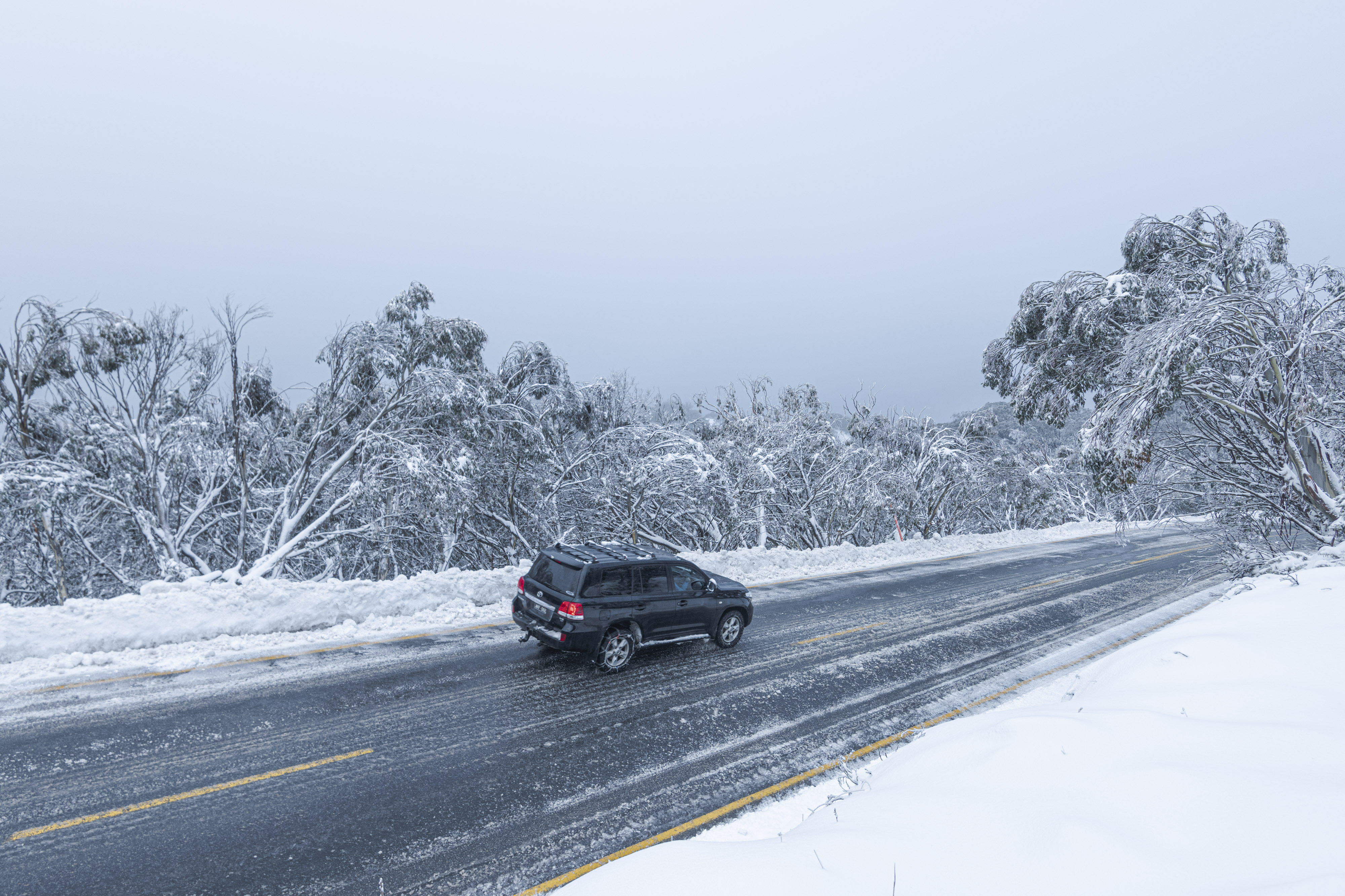 2026 Seniors Vehicle Season Permit-Earlybird