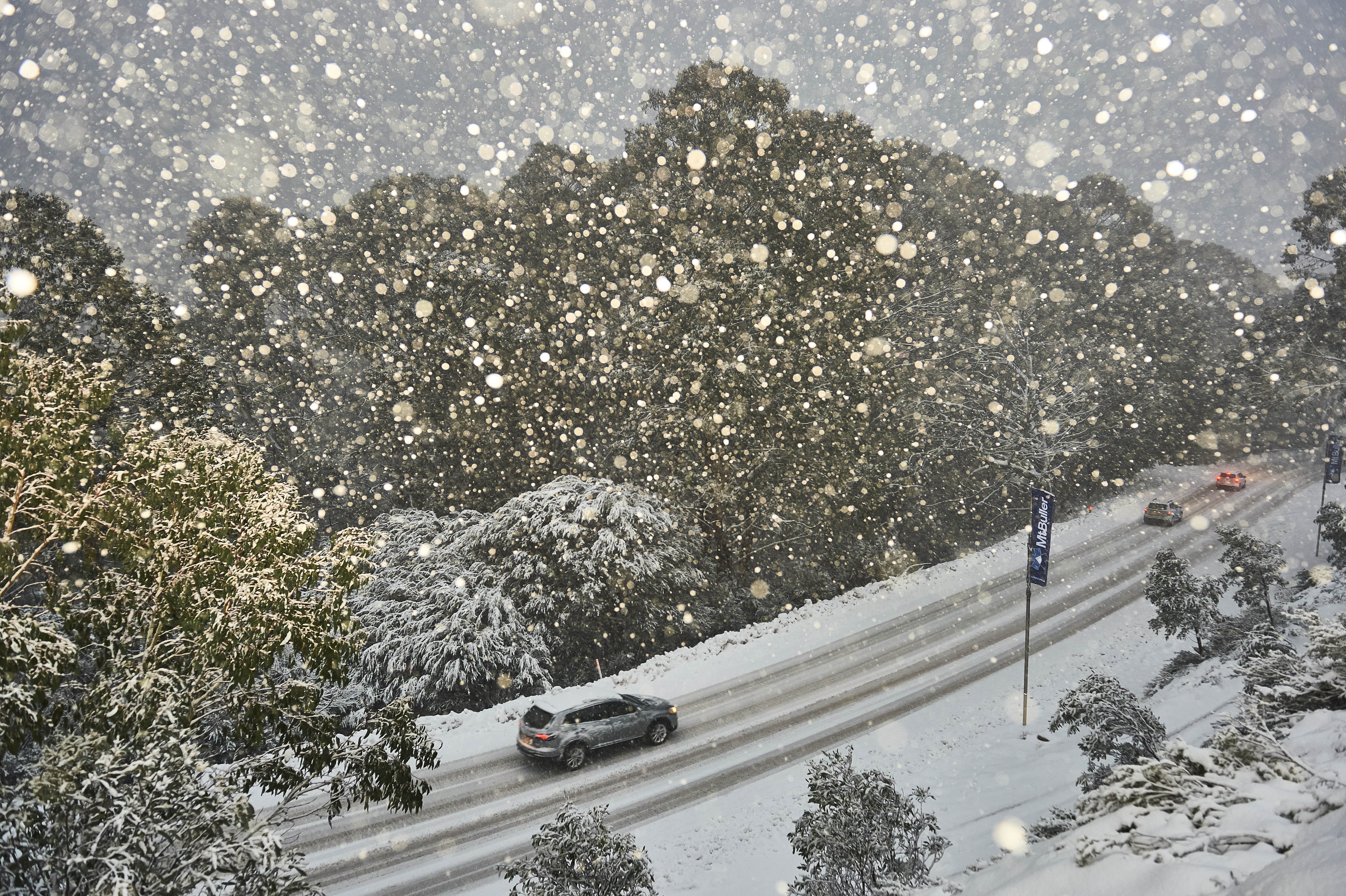 2026 Season Permit-Earlybird Special