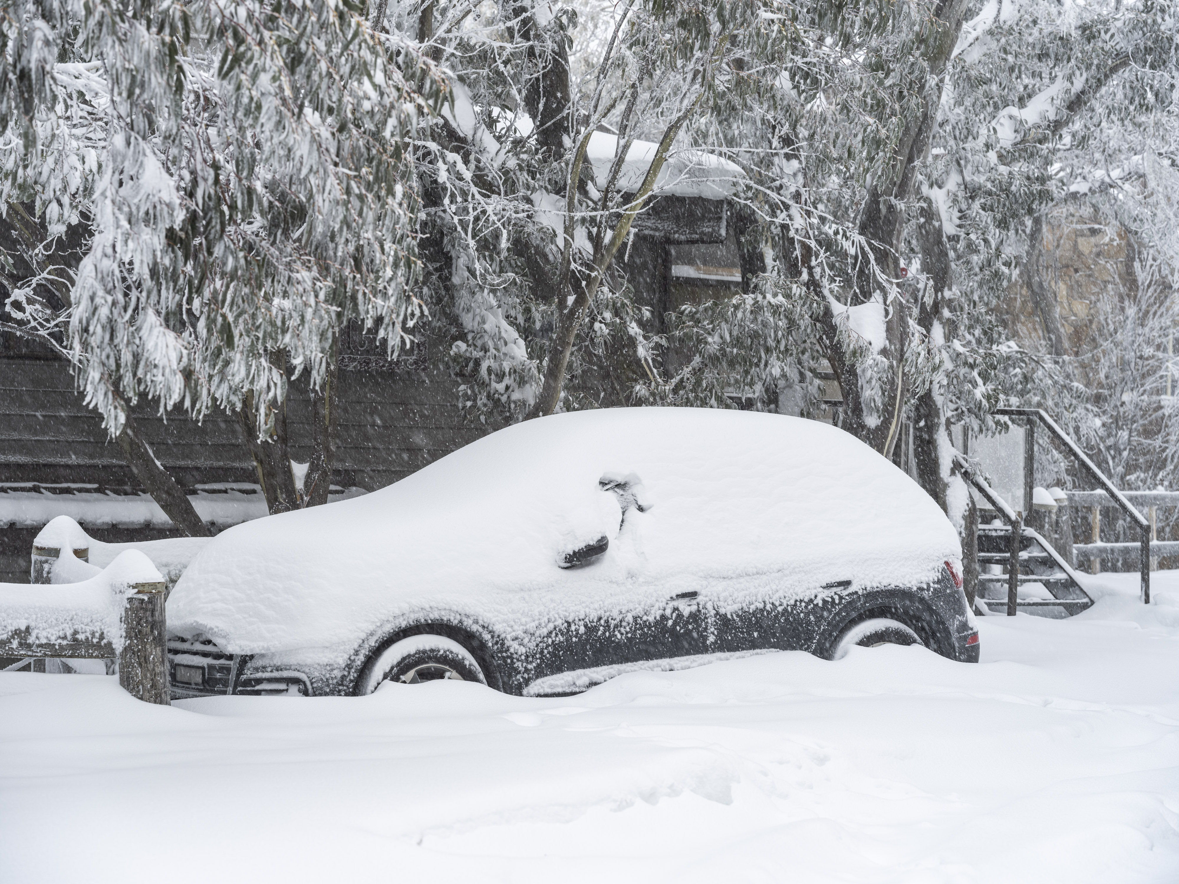 2026 All Resorts Season Permit