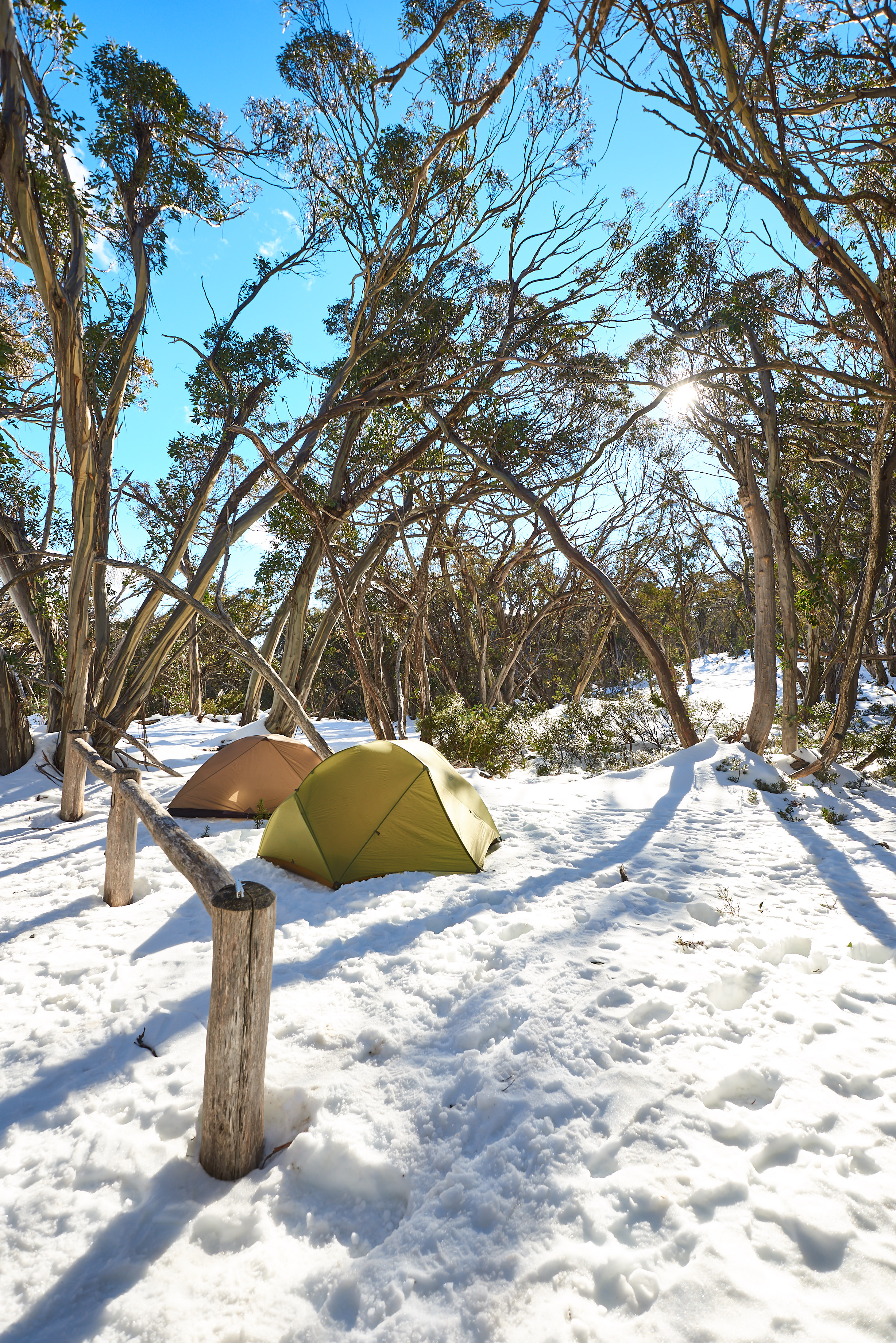 Mt Stirling Camping Per Night